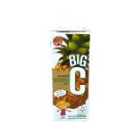 JUGOS BIG C 200 ML ANANA