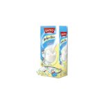 SAINT LECHE EN POLVO X 48 DESCREMADA